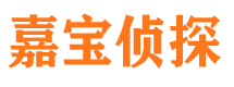 光泽侦探公司